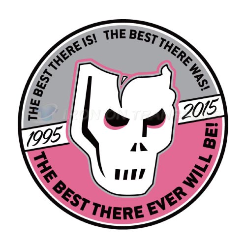Calgary Hitmen Iron-on Stickers (Heat Transfers)NO.7492